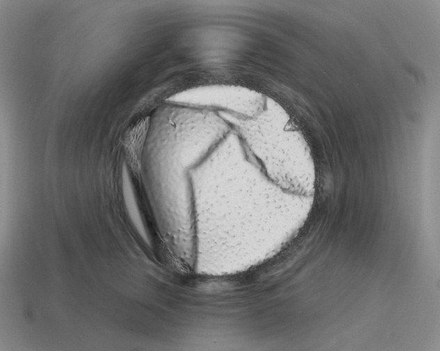 X0000114210759200911061445