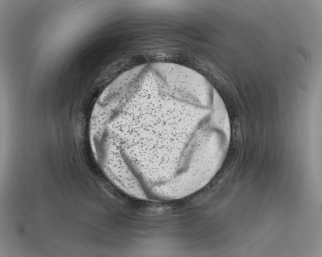 X0000114210760200911061445