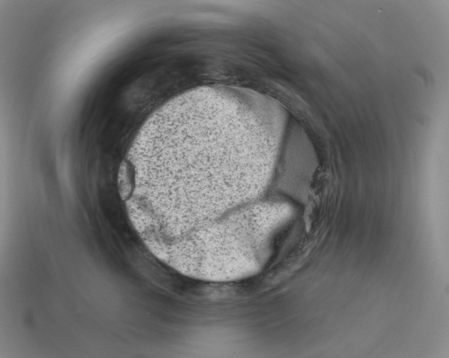 X0000114210762200911061445