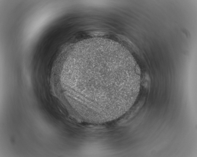 X0000114210763200911061445