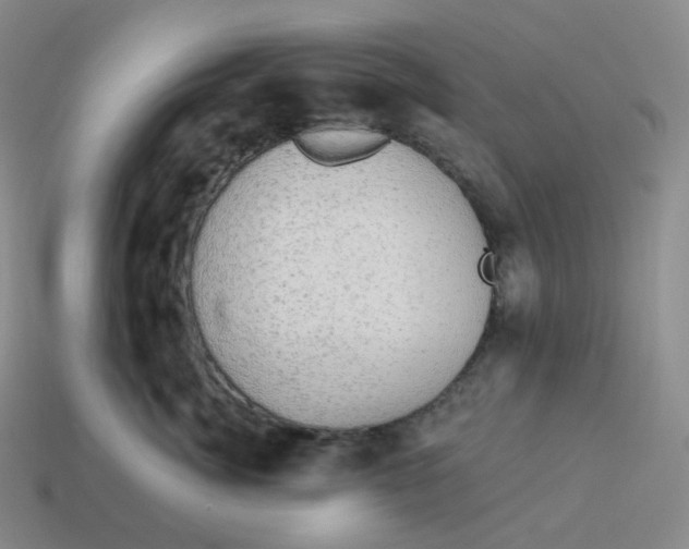 X0000114210764200911061445