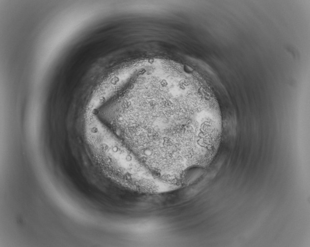 X0000114210765200911061445