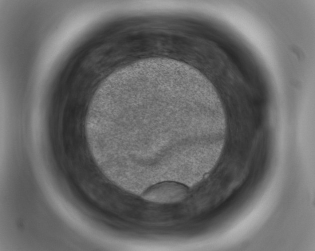 X0000114210766200911061445