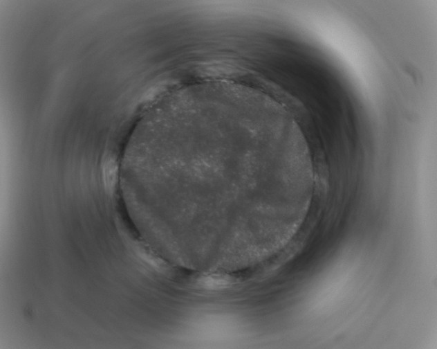 X0000114210767200911061445