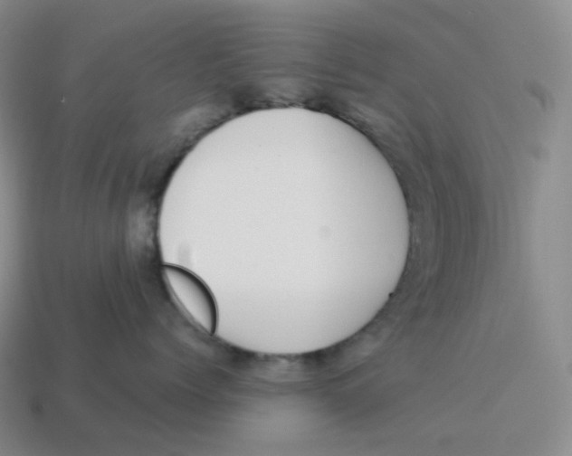 X0000114210768200911061445