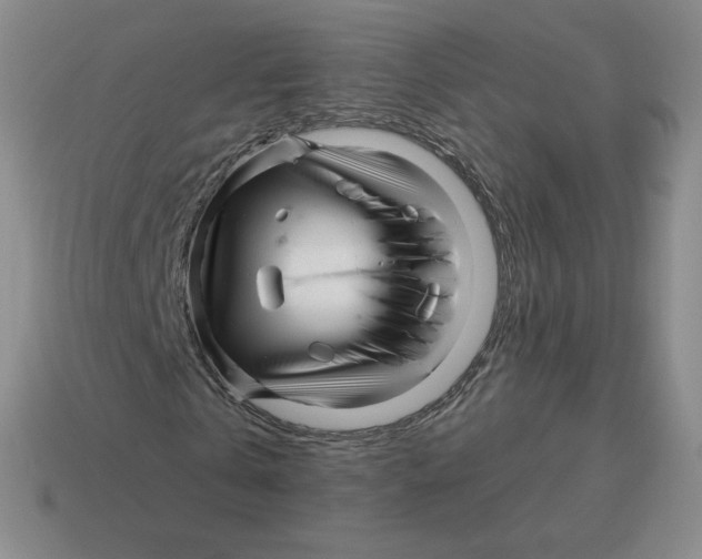 X0000114210769200911061444