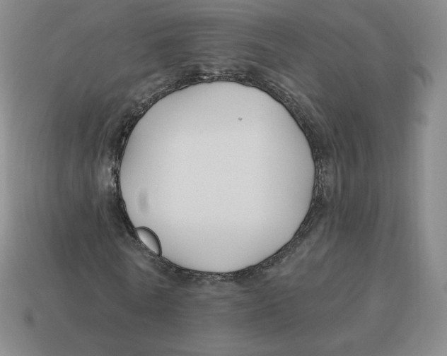 X0000114210770200911061444