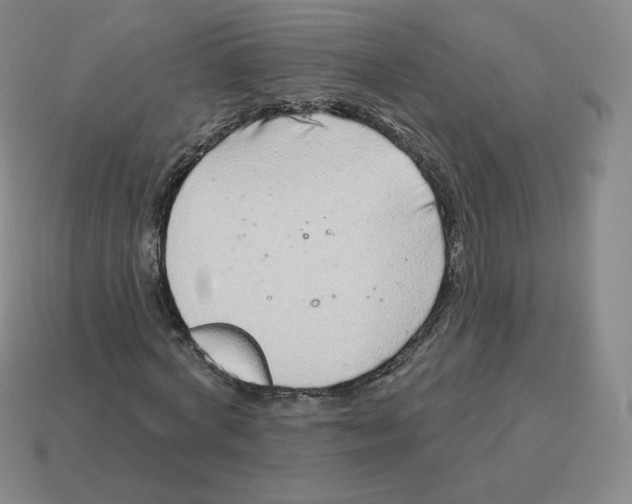 X0000114210772200911061444