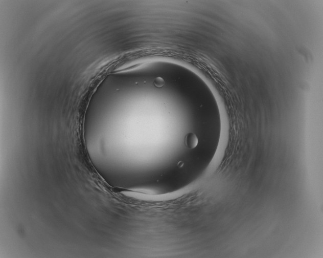 X0000114210773200911061444