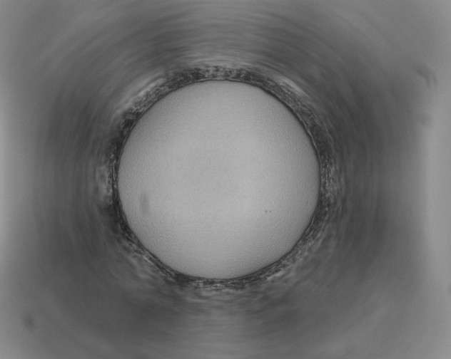 X0000114210774200911061444