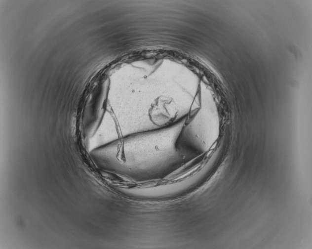 X0000114210777200911061444