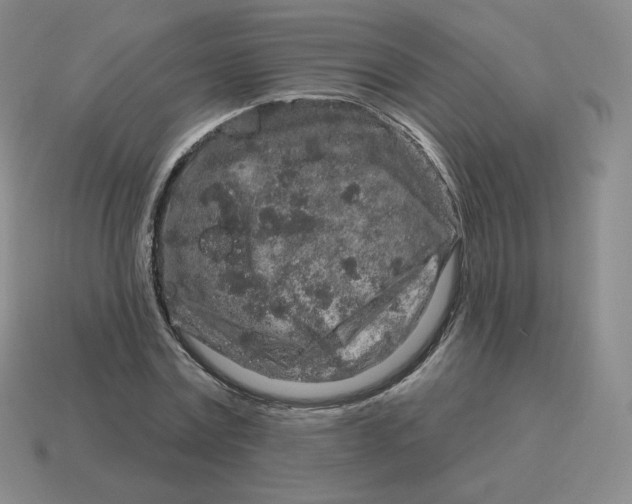 X0000114210779200911061444