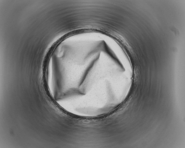 X0000114210780200911061444