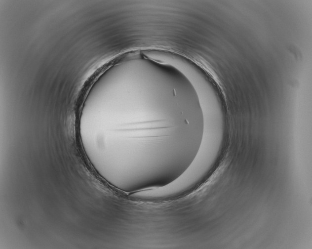 X0000114210781200911061444