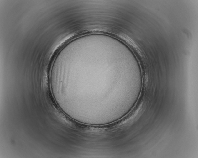 X0000114210782200911061444