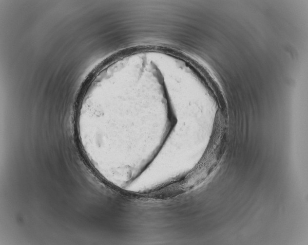 X0000114210783200911061444