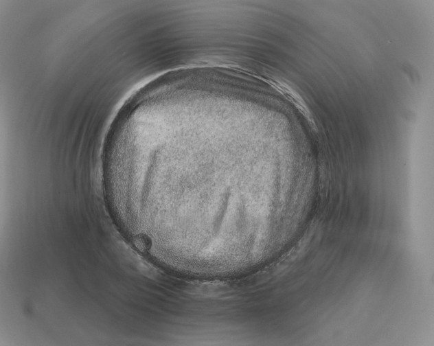 X0000114210784200911061444