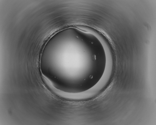 X0000114210785200911061444