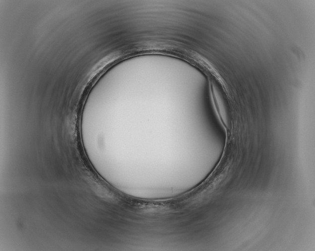 X0000114210786200911061444