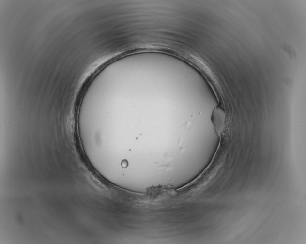 X0000114210787200911061444