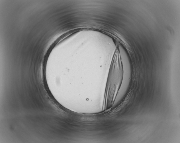 X0000114210788200911061444