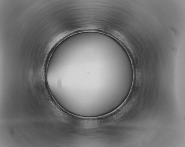 X0000114210789200911061444