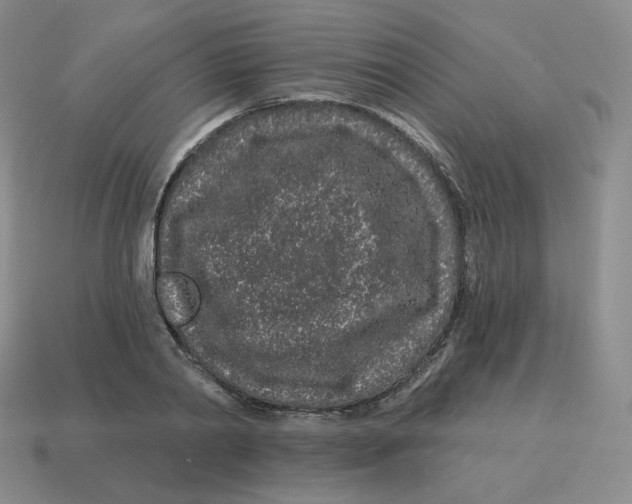 X0000114210790200911061444