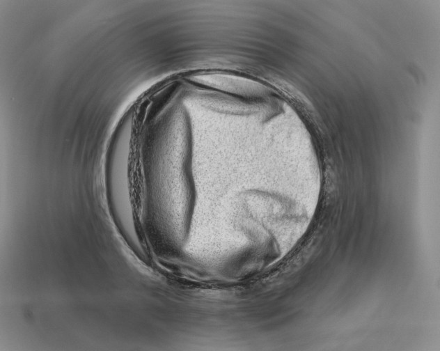 X0000114210792200911061444