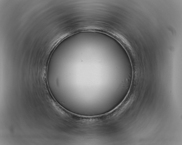 X0000114210793200911061444