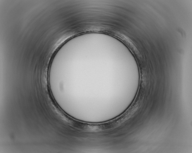 X0000114210794200911061444