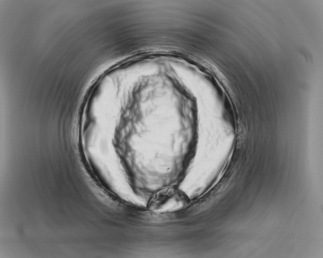 X0000114210795200911061444