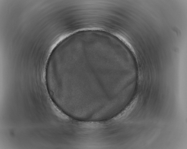 X0000114210797200911061444