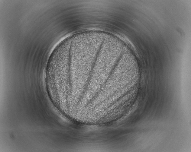 X0000114210798200911061444