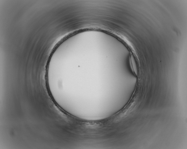 X0000114210799200911061444