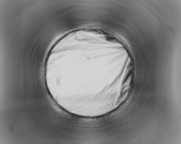 X0000114210800200911061444