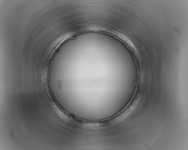 X0000114210801200911061444