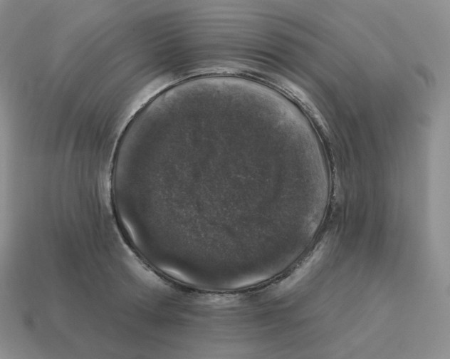 X0000114210802200911061444