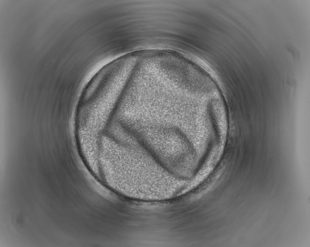 X0000114210803200911061444