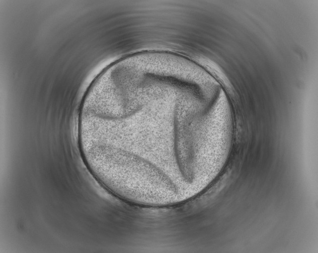 X0000114210804200911061444