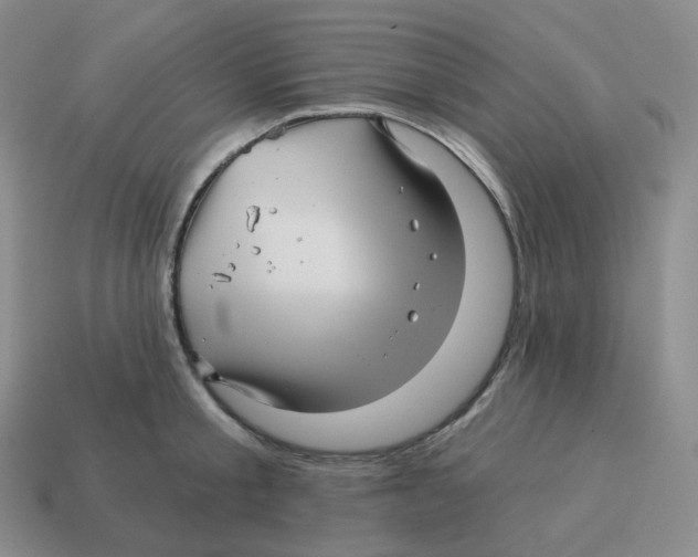 X0000114210805200911061444