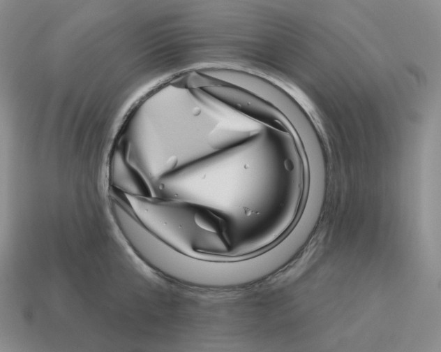 X0000114210807200911061444