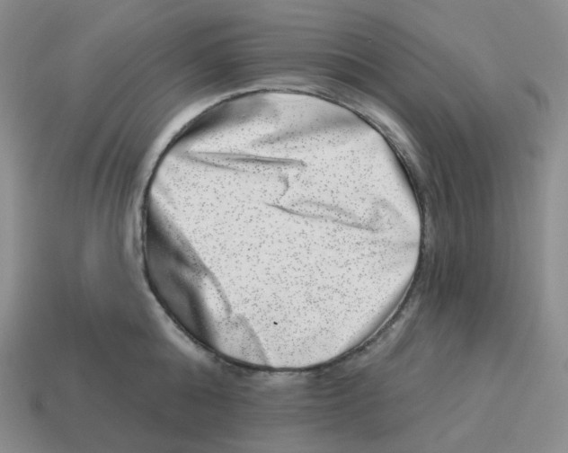 X0000114210808200911061444