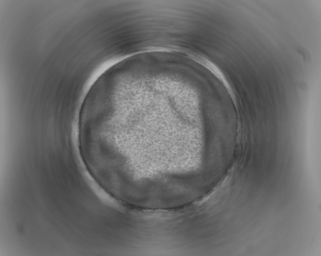 X0000114210811200911061444