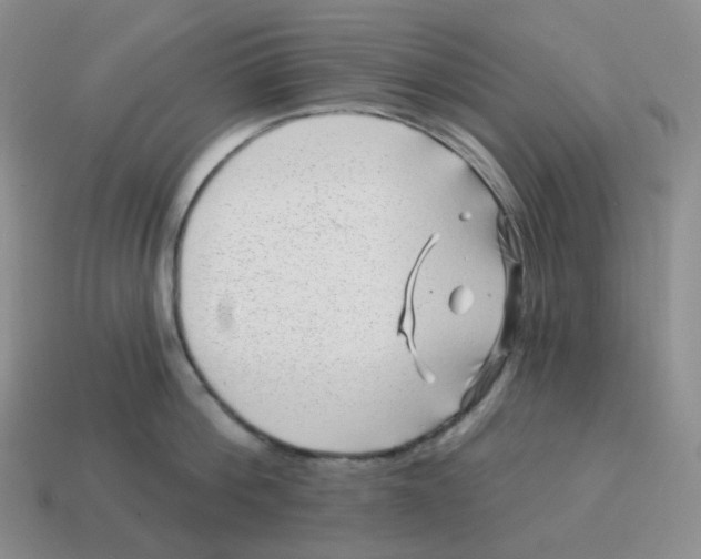 X0000114210812200911061444