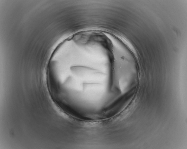 X0000114210813200911061444