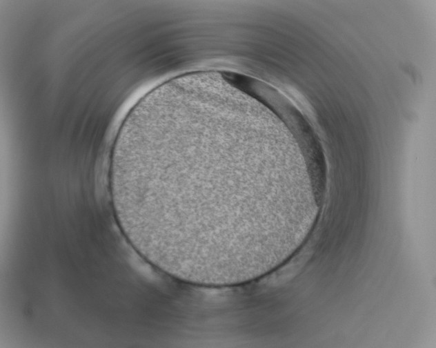 X0000114210816200911061444