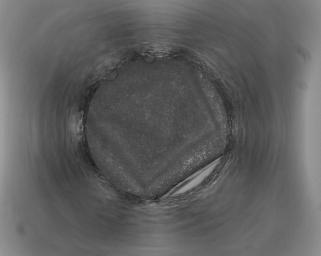 X0000114210818200911061443