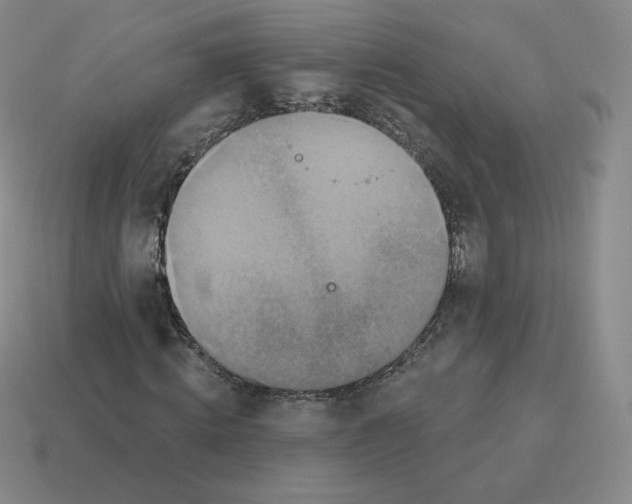 X0000114210820200911061443