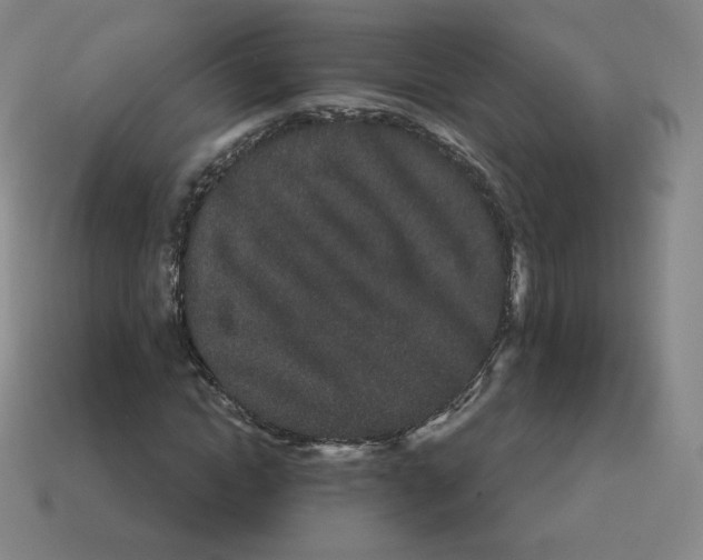 X0000114210822200911061443