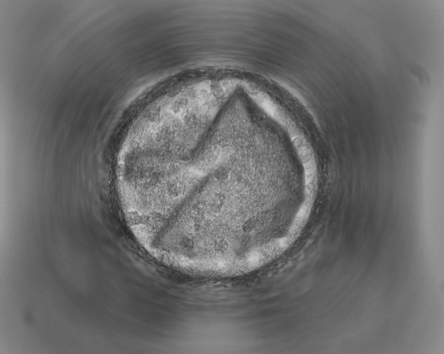 X0000114210823200911061443